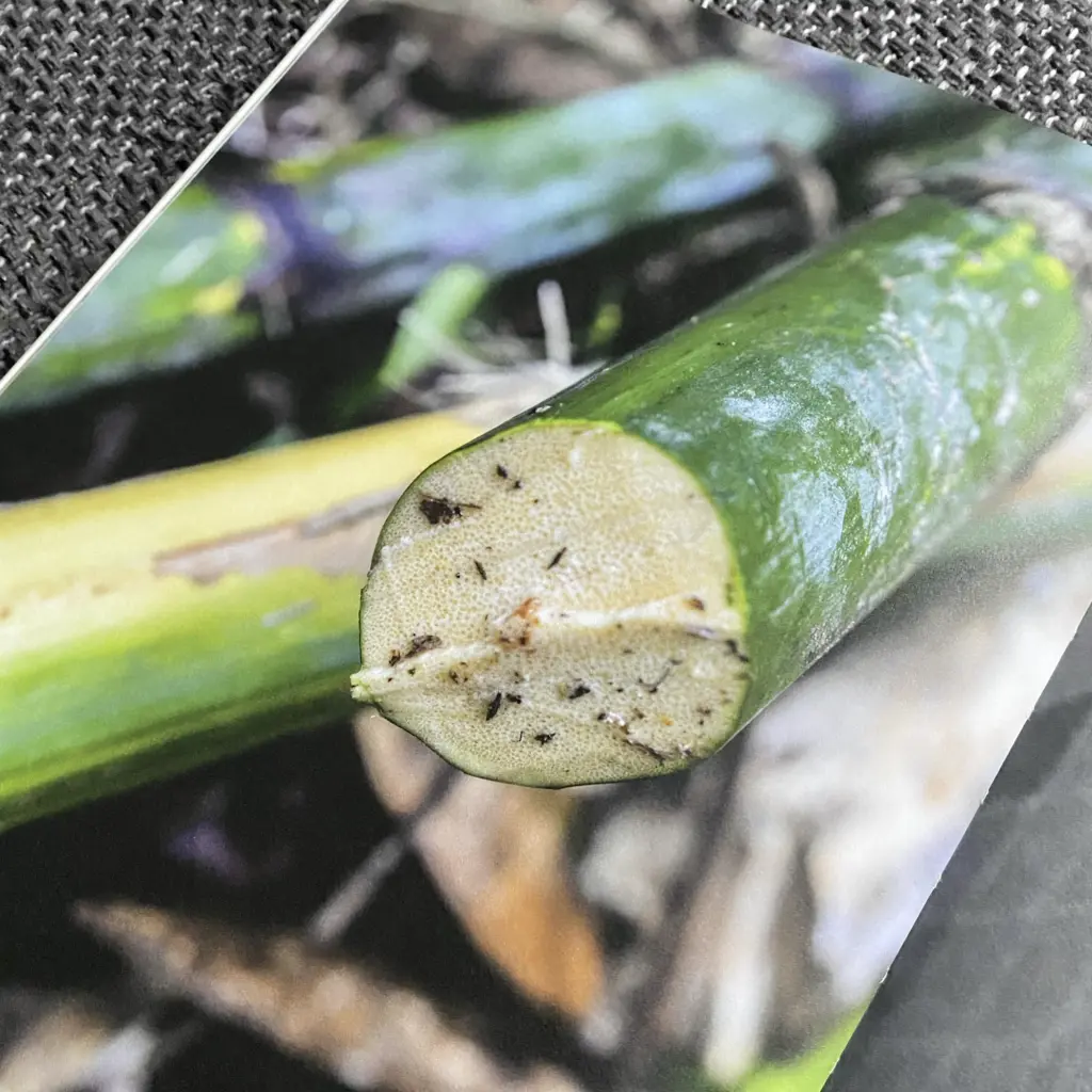 Werbeagentur, Agentur, Paladin, Design, Agentur-Paladin, Concept, @agenturpaladin, Remseck, Stuttgart, Ludwigsburg, Werbung, Start-Up, Retusche, Bildbearbeitung, Logo, Corporate Design, Kunst, Kreativ, Start-Up Agentur, Photoshop, InDesign, Illustrator, Layout, Publishing, Editorial, Photography, Agency, Design-Agency, Image, Marketing, Social Media Marketing, Print, Web, Online, Website, UX-Design, Webdesign, Web-Design, 0711, Project, Event, Post-Production, Creativity, Merchandise, Consulting, Beratung, Website, Webdesign