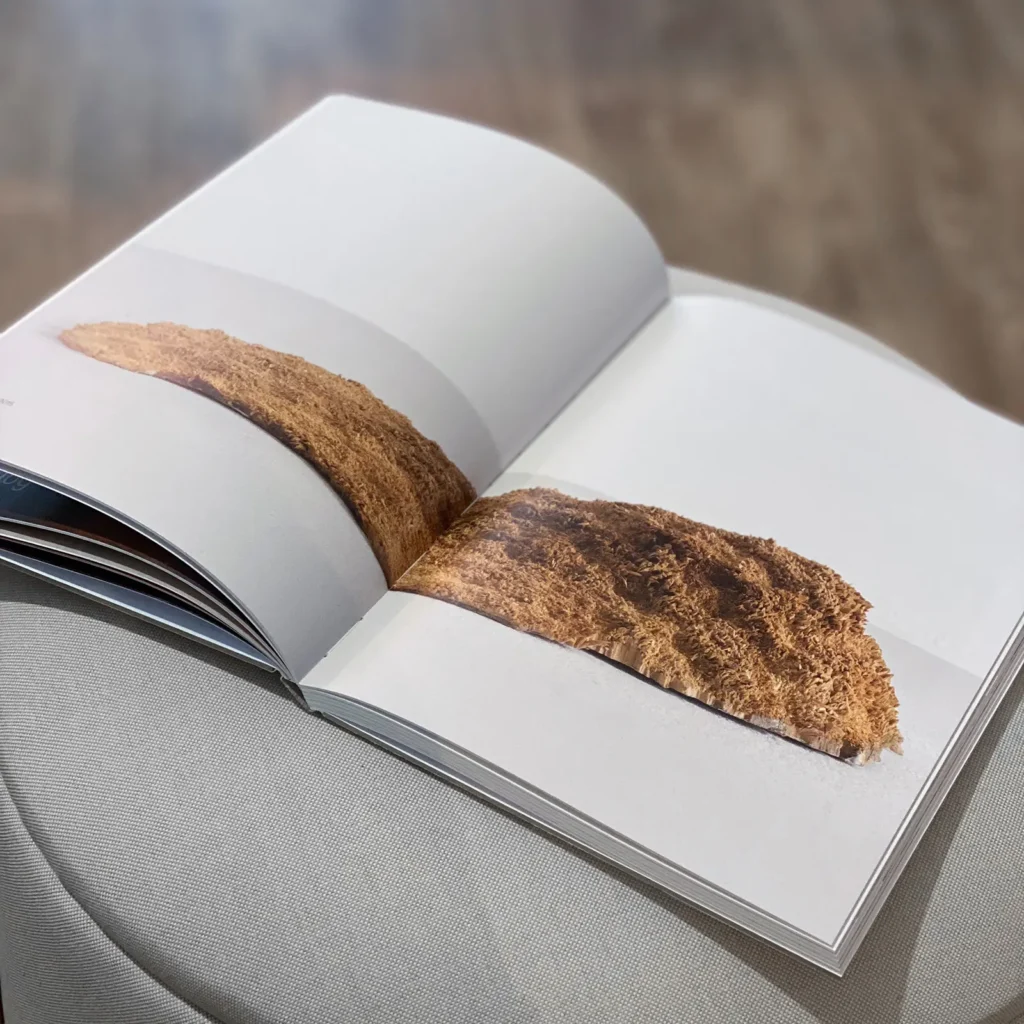 Werbeagentur, Agentur, Paladin, Design, Agentur-Paladin, Concept, @agenturpaladin, Remseck, Stuttgart, Ludwigsburg, Werbung, Start-Up, Retusche, Bildbearbeitung, Logo, Corporate Design, Kunst, Kreativ, Start-Up Agentur, Photoshop, InDesign, Illustrator, Layout, Publishing, Editorial, Photography, Agency, Design-Agency, Image, Marketing, Social Media Marketing, Print, Web, Online, Website, UX-Design, Webdesign, Web-Design, 0711, Project, Event, Post-Production, Creativity, Merchandise, Consulting, Beratung, Website, Webdesign