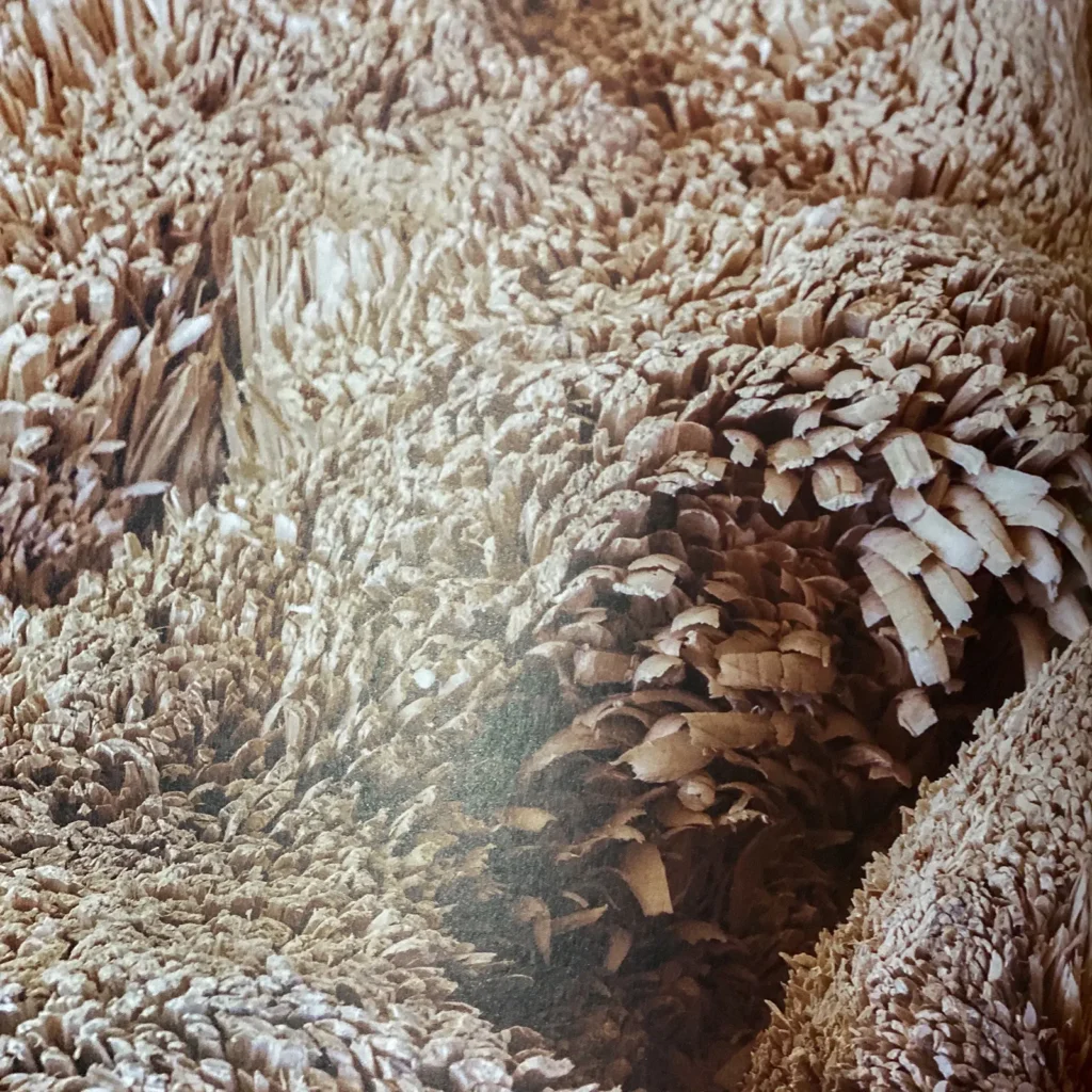 Werbeagentur, Agentur, Paladin, Design, Agentur-Paladin, Concept, @agenturpaladin, Remseck, Stuttgart, Ludwigsburg, Werbung, Start-Up, Retusche, Bildbearbeitung, Logo, Corporate Design, Kunst, Kreativ, Start-Up Agentur, Photoshop, InDesign, Illustrator, Layout, Publishing, Editorial, Photography, Agency, Design-Agency, Image, Marketing, Social Media Marketing, Print, Web, Online, Website, UX-Design, Webdesign, Web-Design, 0711, Project, Event, Post-Production, Creativity, Merchandise, Consulting, Beratung, Website, Webdesign