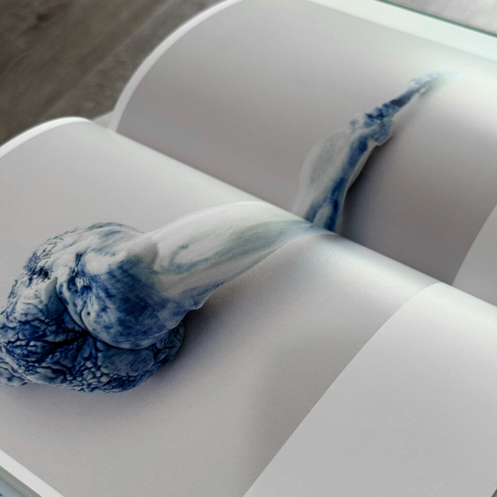 Werbeagentur, Agentur, Paladin, Design, Agentur-Paladin, Concept, @agenturpaladin, Remseck, Stuttgart, Ludwigsburg, Werbung, Start-Up, Retusche, Bildbearbeitung, Logo, Corporate Design, Kunst, Kreativ, Start-Up Agentur, Photoshop, InDesign, Illustrator, Layout, Publishing, Editorial, Photography, Agency, Design-Agency, Image, Marketing, Social Media Marketing, Print, Web, Online, Website, UX-Design, Webdesign, Web-Design, 0711, Project, Event, Post-Production, Creativity, Merchandise, Consulting, Beratung, Website, Webdesign